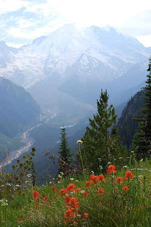 Silver Forest trail
