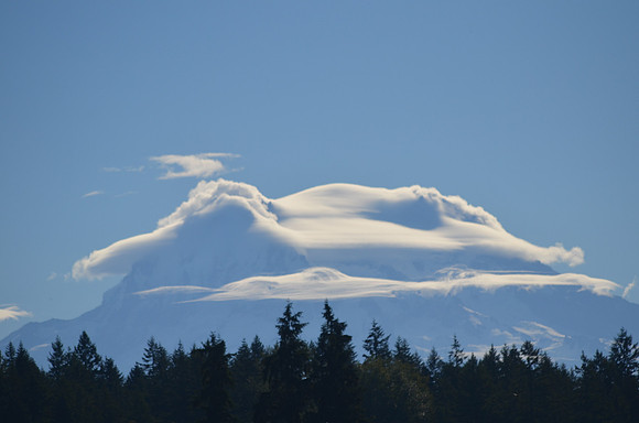 Lenticular 162