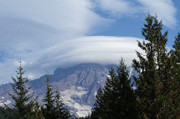 Lenticular 029