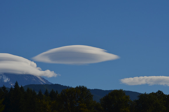 Lenticular 227
