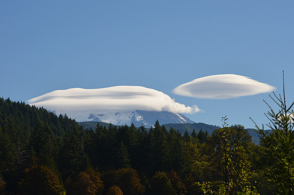 Lenticular 232