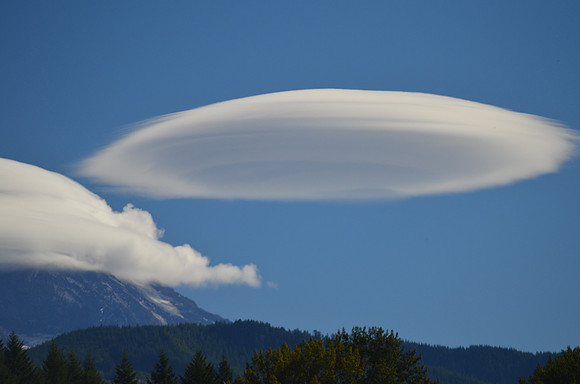 Lenticular 234