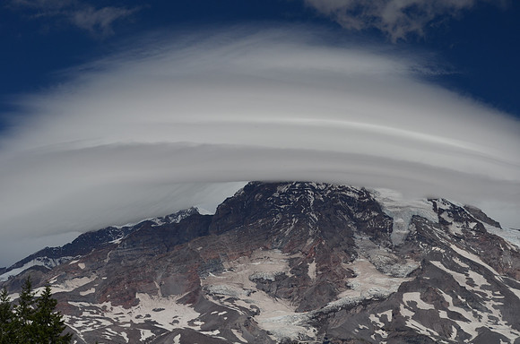 Lenticular 255