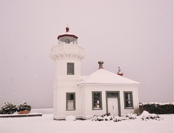 Winter Mukilteo LH