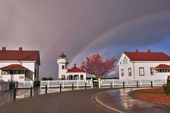 MLH Rainbow 11