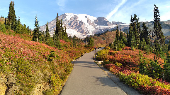 Myrtle Falls Trail