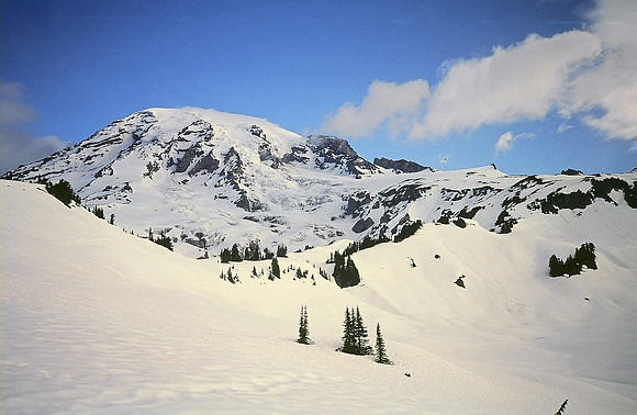 Winter from the Dance Floor
