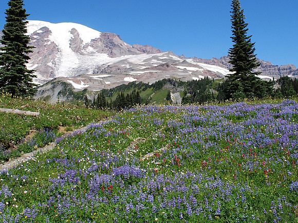 Mazama Ridge