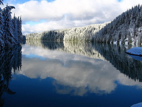 Chaplain Reflection winter 56