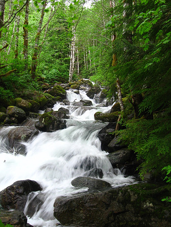 Greider Creek 3
