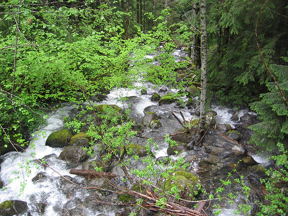 Greider Creek