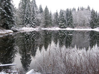 Greider Ponds