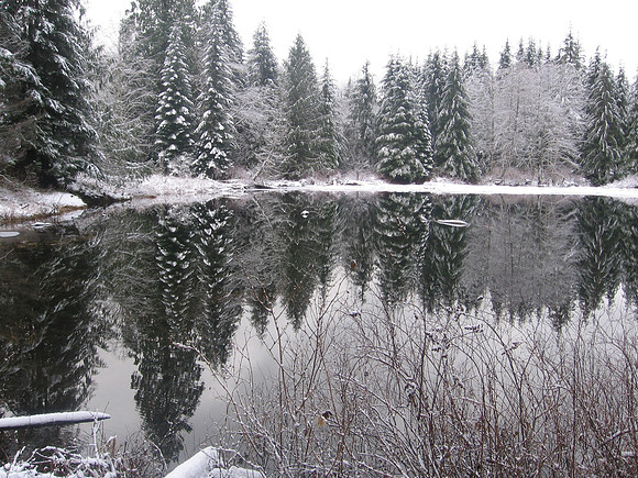 Greider Ponds