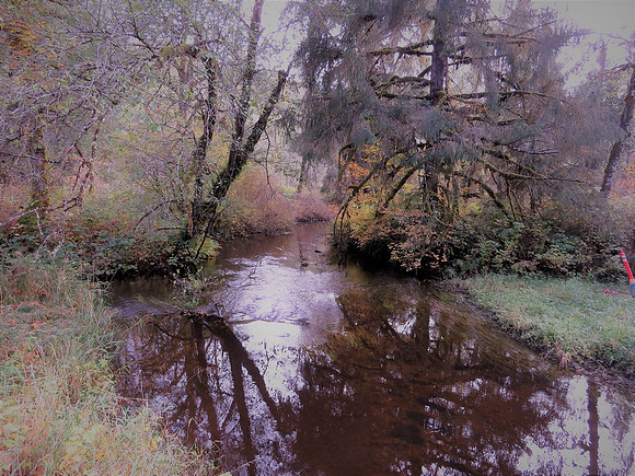 Stream 8
