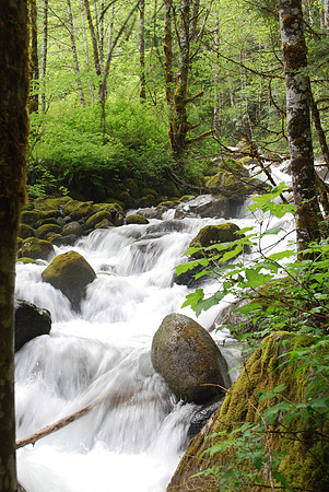 Greider Creek 9