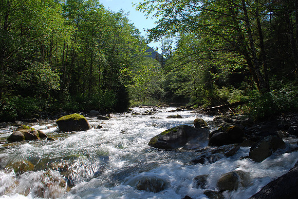 7-1-11 South fork of Sultan 009