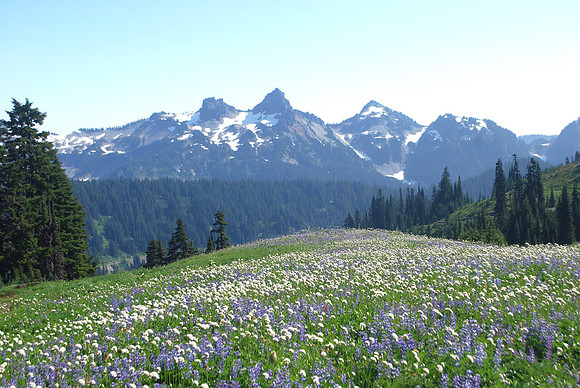 Mazama Ridge 887