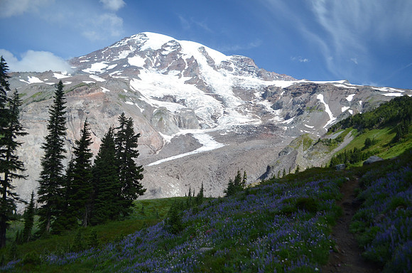 Moraine Trail - Paradise 667