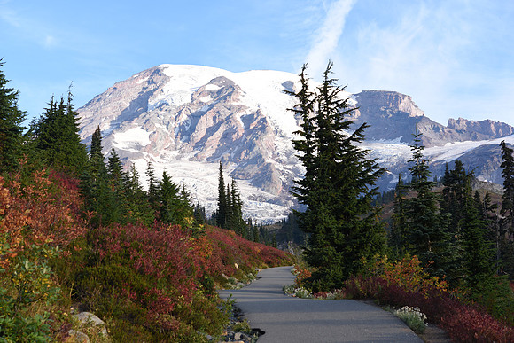 Mrytle Falls Trail - Paradise