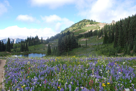 Naches Loop Trail - NPS