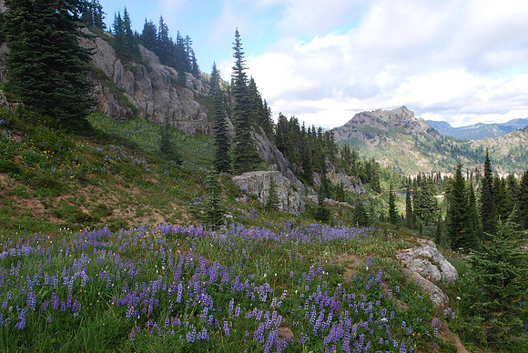 Naches loop Trail - USFS