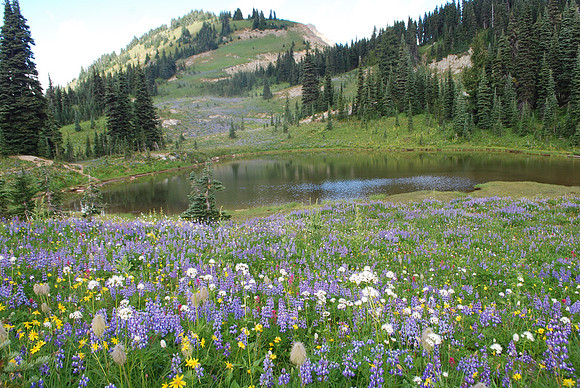 Naches Loop Trail A - NPS