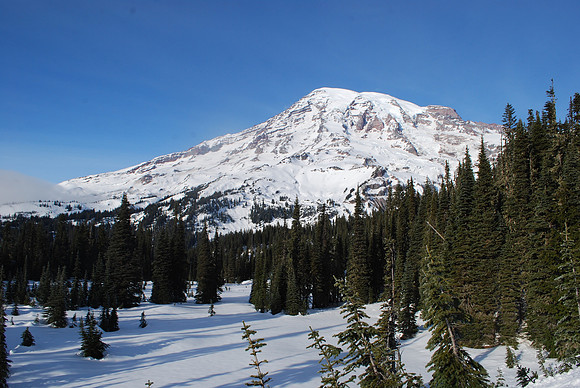 Nisqually Trail - Paradise