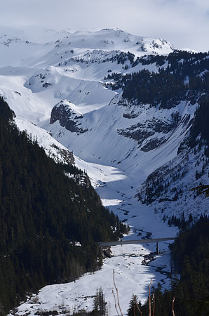 Nisqually Bridge