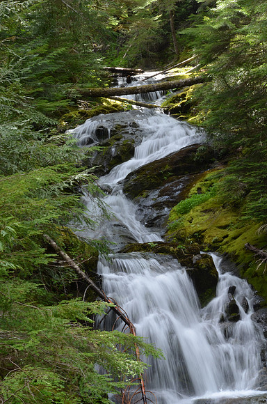 Olallie Falls