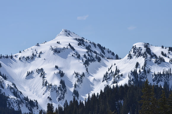 Plummer Peak