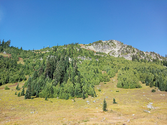Tamanos MT