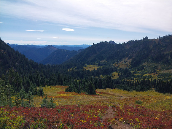 Fall colors starting - huckleberries