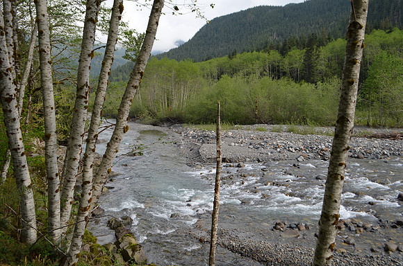 North Fork of Sultan River 3